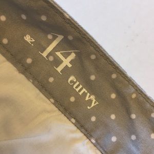 Ann Taylor LOFT | Polka Dot Shorts | Gray